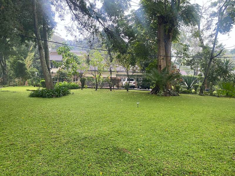 Naivasha Park - Gallery 23